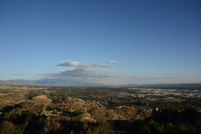 DSC_5553 (Large).JPG